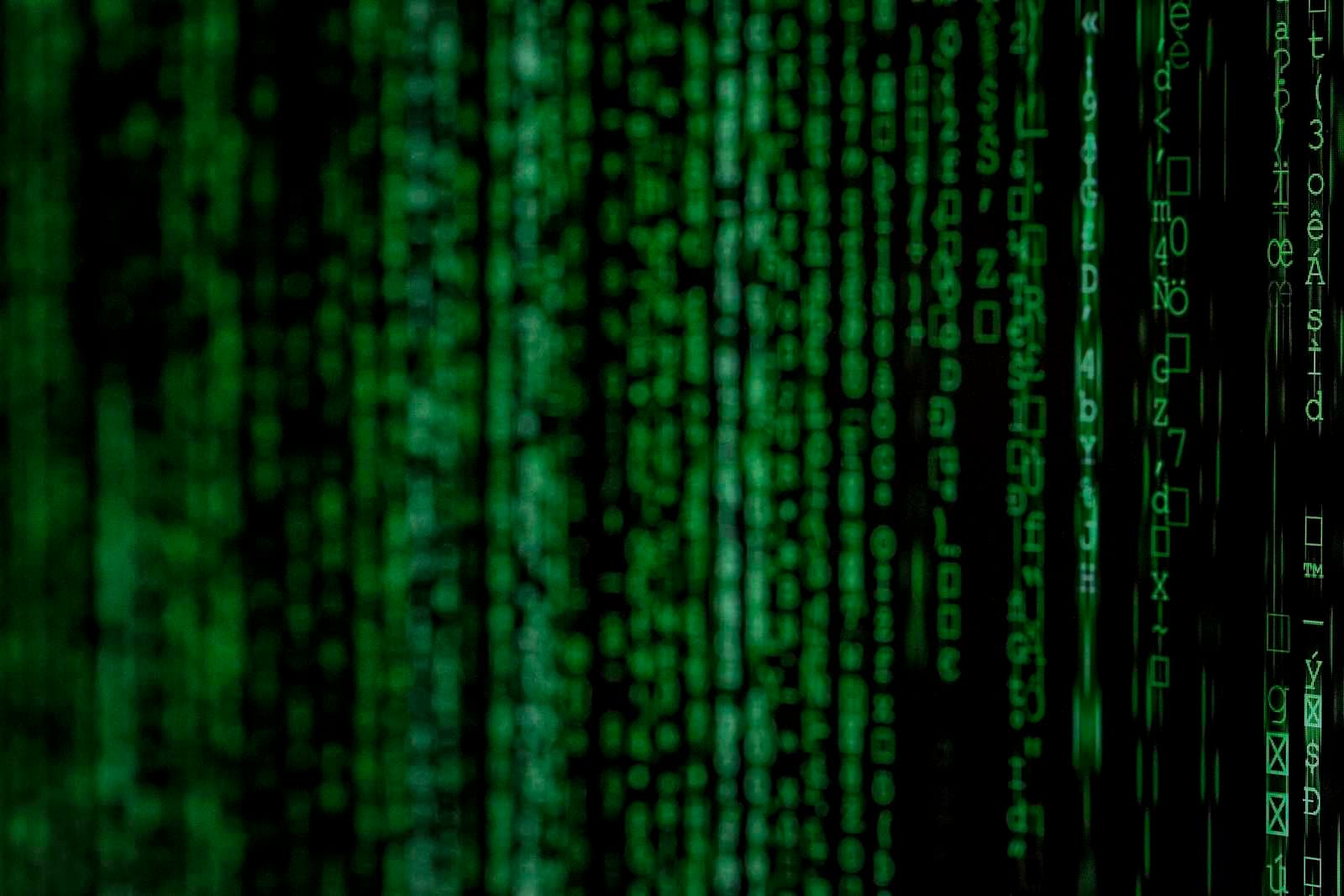 Scams 101: Fundamental Facts You Should Be Aware Of